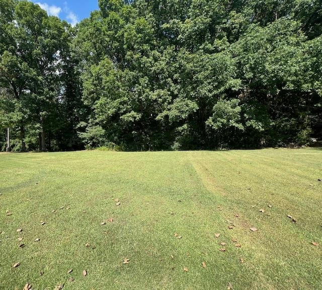 SHELBY LN, BOLIVAR, TN 38008, photo 1 of 3