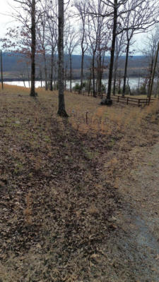 763 PURDY VIEW ACRES DR # LOT 2, BATH SPRINGS, TN 38311, photo 5 of 13