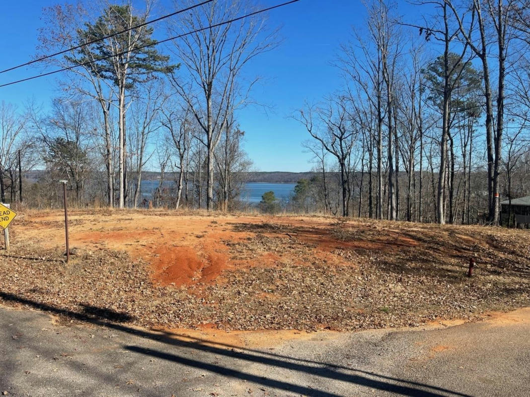 LOT 34 ISLAND VIEW DR, COUNCE, TN 38326, photo 1 of 6