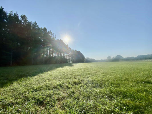 65.33 ACRES AMES LN, HICKORY VALLEY, TN 38042, photo 4 of 40