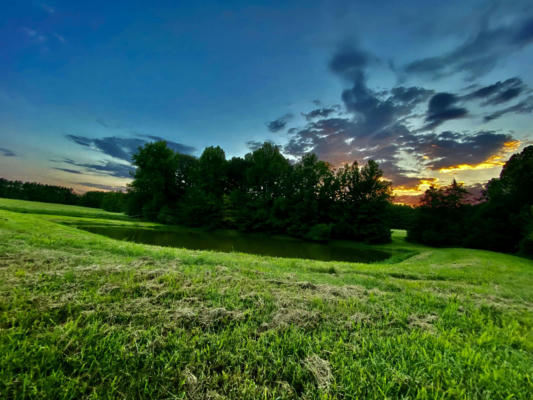 65.33 ACRES AMES LN, HICKORY VALLEY, TN 38042 - Image 1