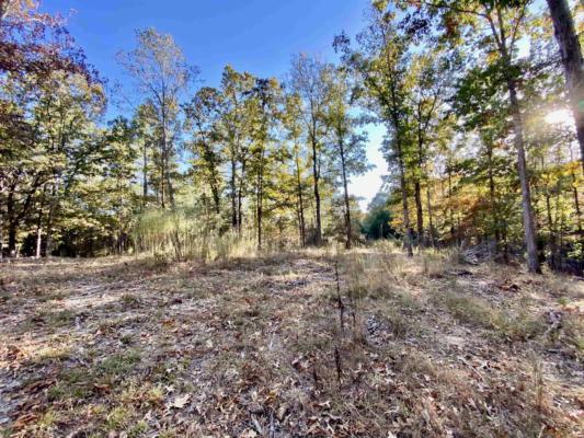 33.32 ACRES GREEN DR, SOMERVILLE, TN 38068, photo 2 of 31