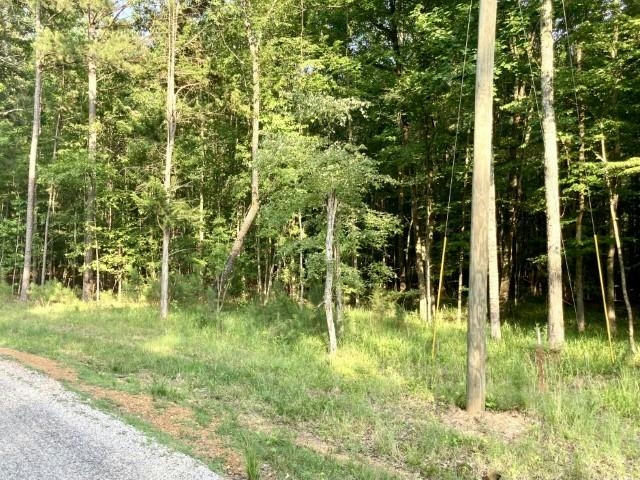 54 TIMBER RIDGE DR, COUNCE, TN 38326, photo 1 of 2