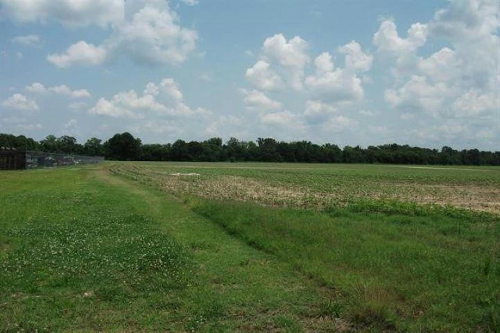 HWY 196-10ACRES HWY, GALLAWAY, TN 38036, photo 1