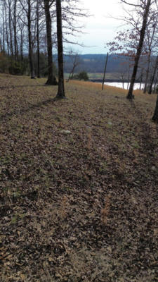 763 PURDY VIEW ACRES DR # LOT 2, BATH SPRINGS, TN 38311, photo 4 of 13