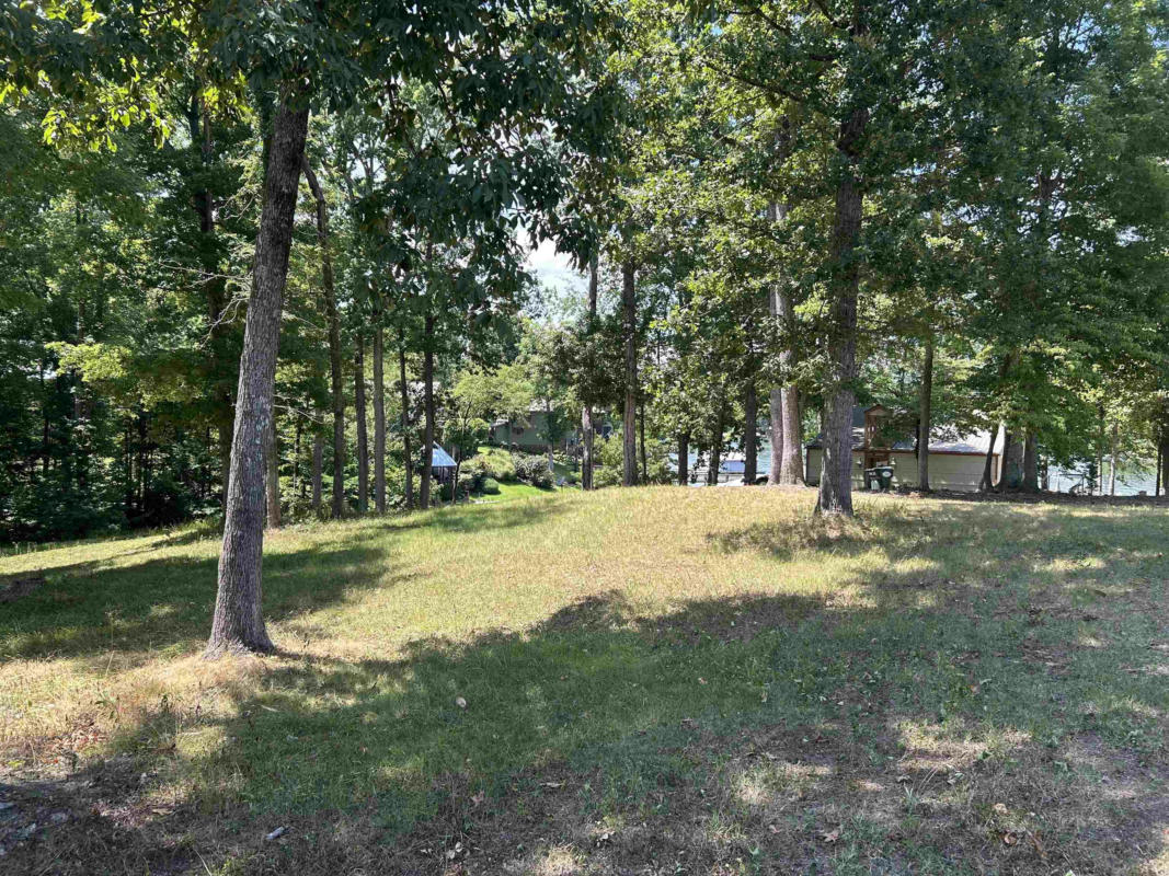 0 RIVER CLIFF LN, COUNCE, TN 38326, photo 1 of 2