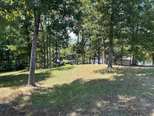 0 RIVER CLIFF LN, COUNCE, TN 38326 - Image 1